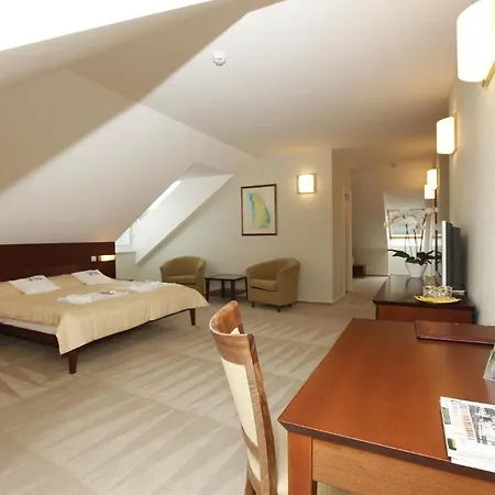 Sandor Pavillon Hotel 4*