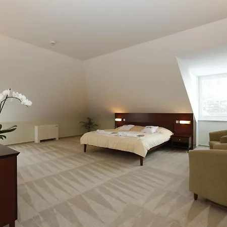 Sandor Pavillon Hotel 4*